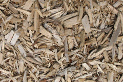 biomass boilers Caerdeon