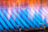 Caerdeon gas fired boilers